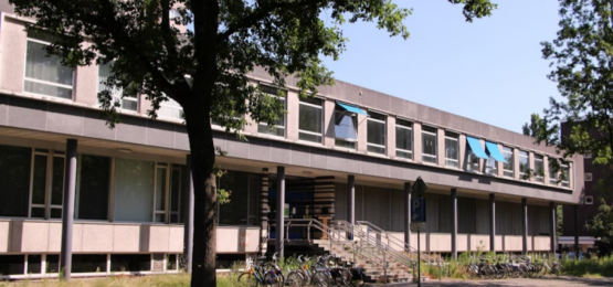 Afbeelding bij JFK2