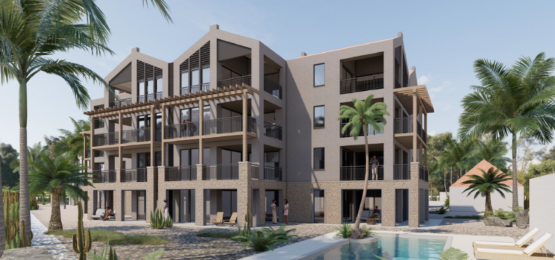 Afbeelding bij Hofi Azalea