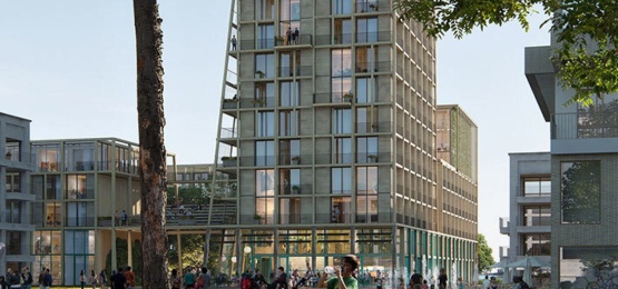 Afbeelding bij Robin Wood Amsterdam