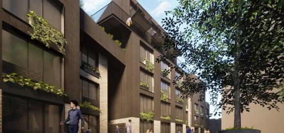 Afbeelding bij Brammelerdwarsstraat