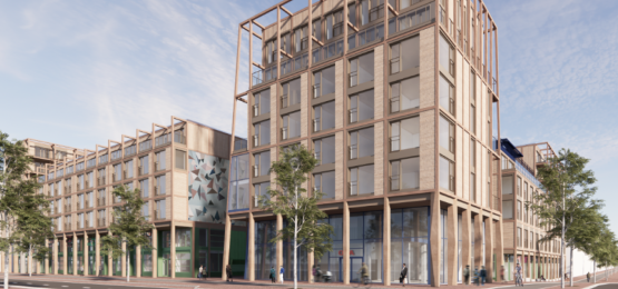 Afbeelding bij Robin Wood Amsterdam