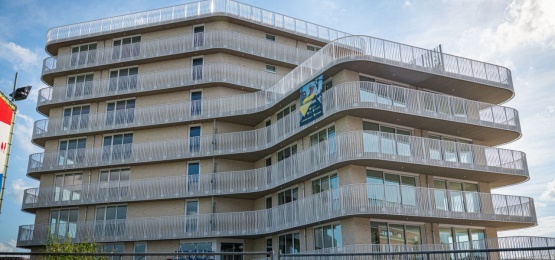 Afbeelding bij De Bruid van Indi&euml;