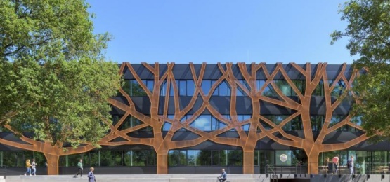 Afbeelding bij Graafschap college Doetinchem